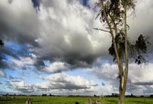 虎扑手机版：女超联赛走进新赛季 听到球迷呐喊声是球员最大的幸福.